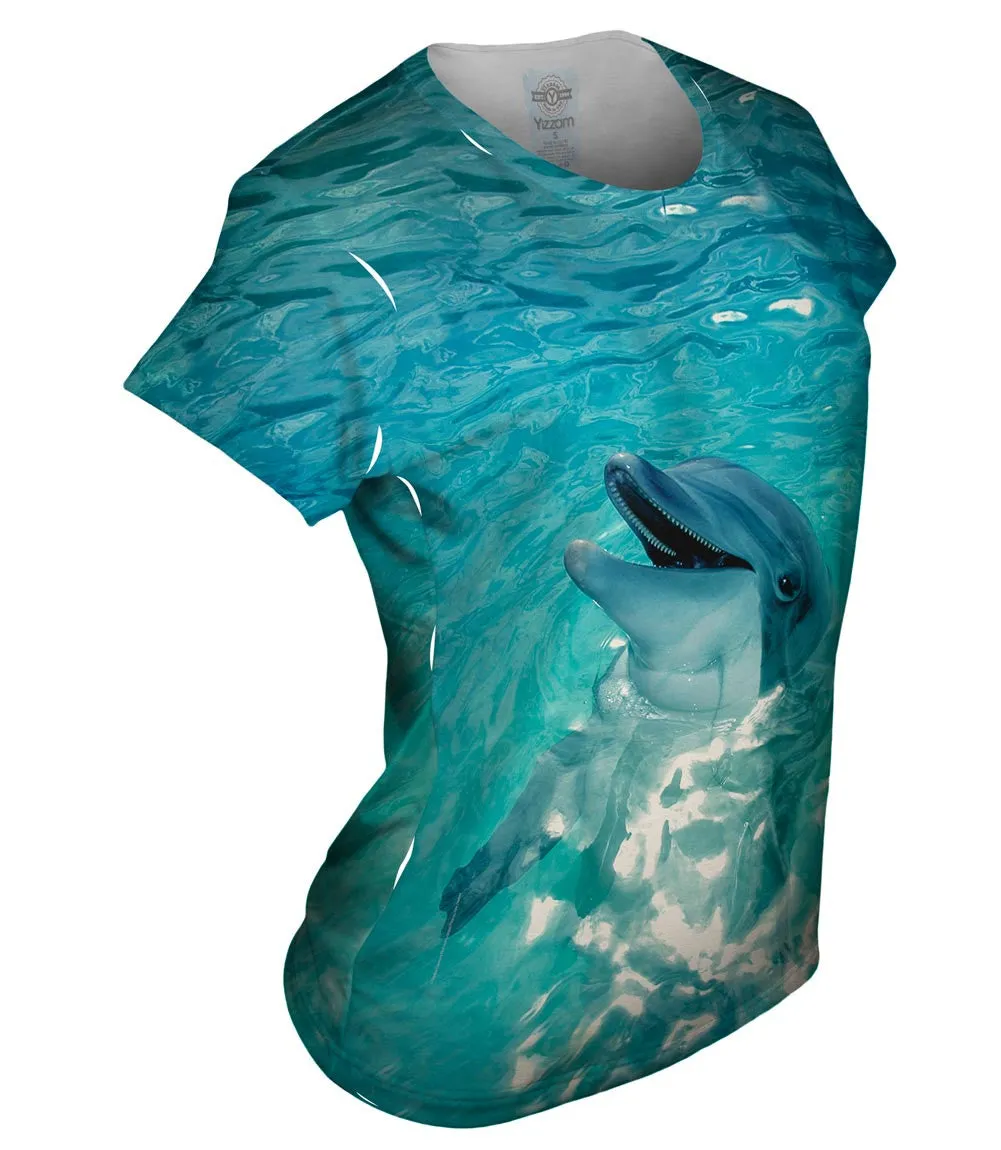 Vintage Dolphin