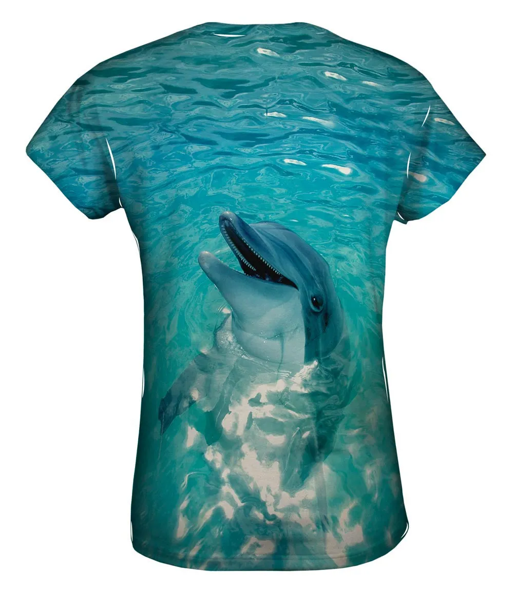 Vintage Dolphin